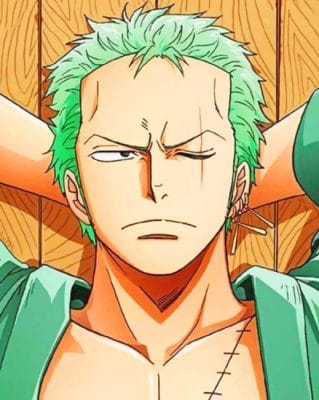 One Piece Zoro paint by numbers