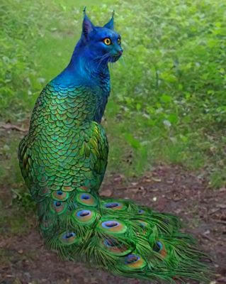 Peacock Cat paint by numbers