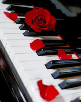 Piano And Red Rose paint by numbers