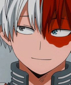 Todoroki paint by numbers