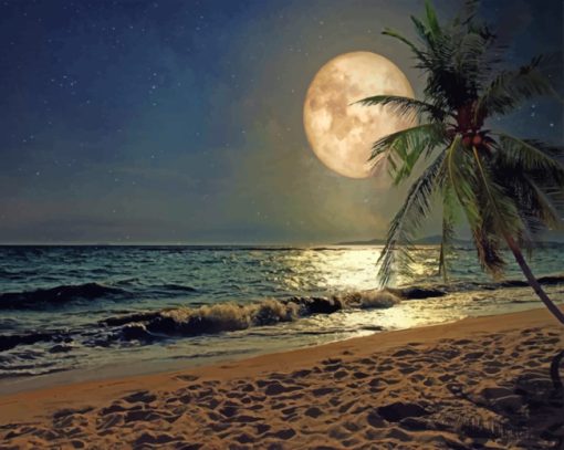 Beach Moonlight paint by number