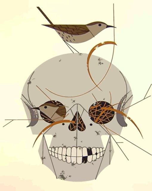 Charley Harper Skull Paint by numbers