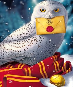 harry potter hedwig paint by numbers