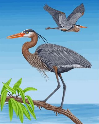 great-blue-heron-birds-paint-by-number