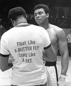 the-legend-Muhammad-ali-paint-by-numbers