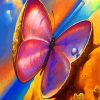 aestehtic-butterfly-paint-by-numbers