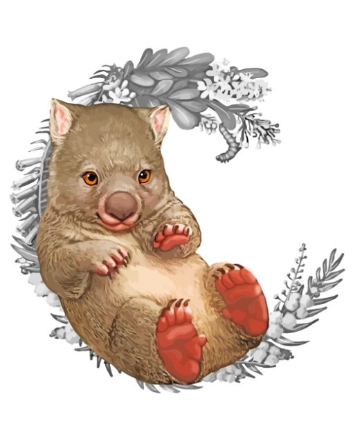 Baby Wombat Illustration