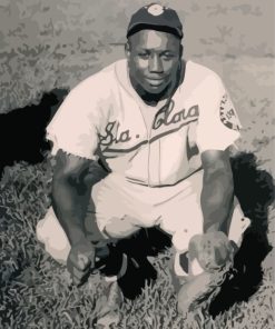 Baseball Player Josh Gibson Paint by numbers