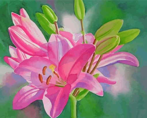 Blooming Pink Lilies Paint by numbers