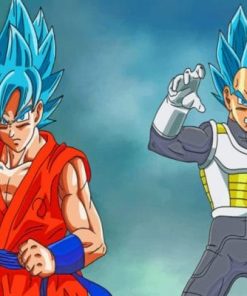 Goku And Vegeta paint by numbers