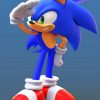 Sonic-Hedgehog-paint-by-number-510x639-1