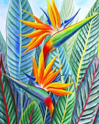 Strelitzia Bird Of Paradise Paint by numbers