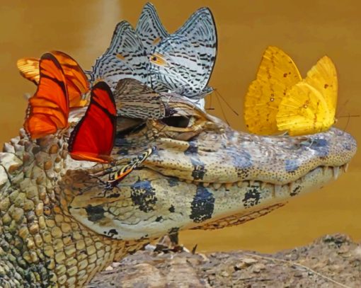 alligator-with-butterfly-paint-by-numbers