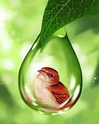 bird-in-bubble-drop-of-water-paint-by-number