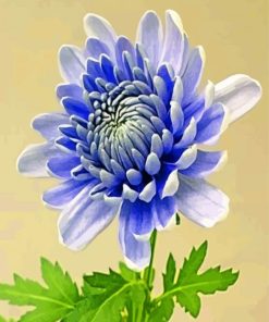 chrysanthemum-flower-paint-by-number