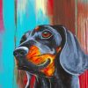 Dachshund Dog paint by numbers