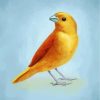 domestic-canary-bird-paint-by-numbers