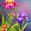 flowers-and-mashrooms-paint-by-numbers