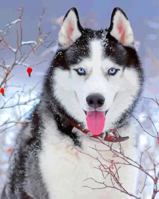 husky-in-snow-paint-by-numbers