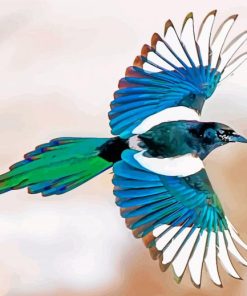 Magpie Bird Flying Paint by numbers