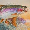 Rainbow Trout Fish Paint by numbers