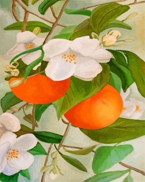 Orange Tree and blossoms paint by number