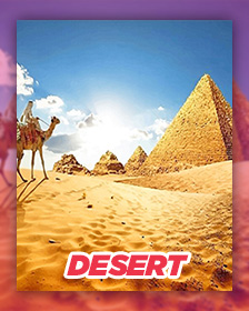 Deserts