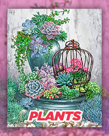 Plants