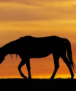 Alone Horse Silhouette Paint By Numbers