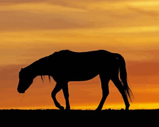 Alone Horse Silhouette Paint By Numbers