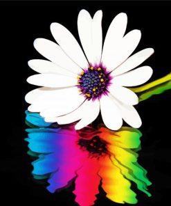 Colorful Daisy Reflection Paint By Numbers