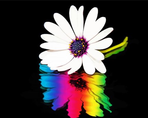 Colorful Daisy Reflection Paint By Numbers