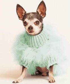 Dog In Green Dress Paint By Numbers