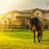 Ranch And Horses Paint By Numbers