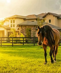 Ranch And Horses Paint By Numbers