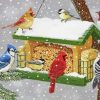 Snow Birdfeeder Paint By Numbers