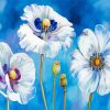 The White Poppies Paint By Numbers