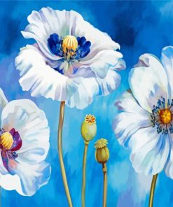 The White Poppies Paint By Numbers