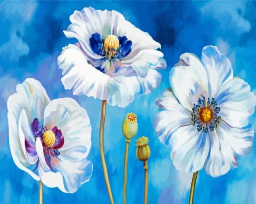 The White Poppies Paint By Numbers