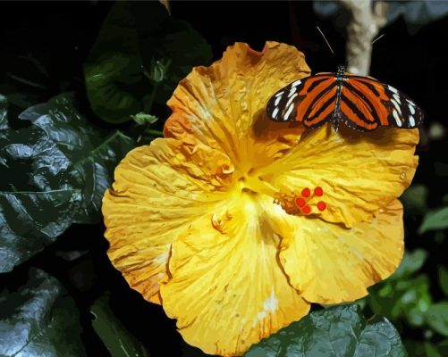 Butterfly On Orange Hibiscus Paint By Numbers