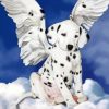 Dalmatian Angel Puppy Paint By Numbers