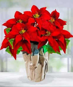 Red Poinsettia Paint By Numbers