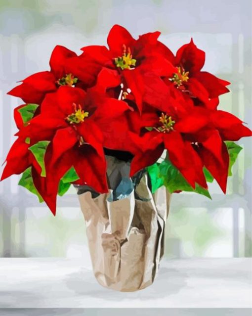 Red Poinsettia Paint By Numbers