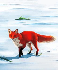 Red Fox In Snow Art Paint By Numbers