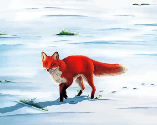 Red Fox In Snow Art Paint By Numbers