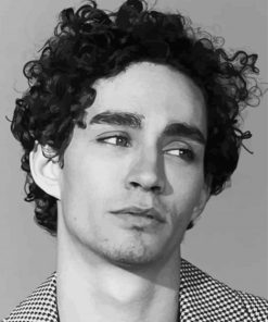 Black And White Robert Sheehan Paint By Numbers