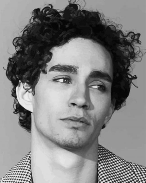 Black And White Robert Sheehan Paint By Numbers