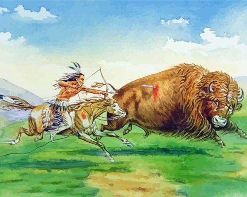 Buffalo And Indian Art Paint By Numbers