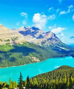 Canada Peyto Lake Nature Paint By Numbers