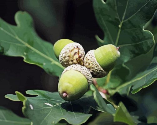 Nature Leaves And Acorns Paint By Numbers